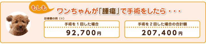 もしもワンちゃんが「腫瘍」で手術をしたら