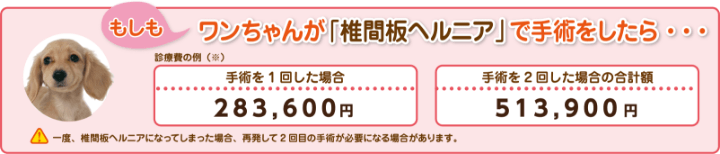 もしもワンちゃんが「椎間板ヘルニア」で手術をしたら