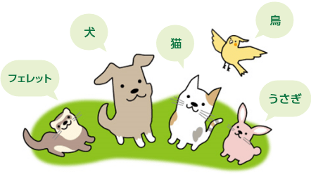 犬、猫、鳥、うさぎ、フェレット