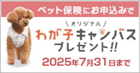 わが子の写真入りおやつ缶プレゼント！