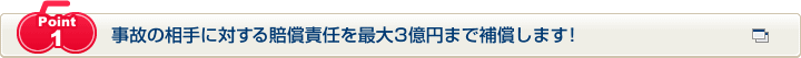 Point1 事故の相手に対する賠償責任を最大３億円まで補償します！