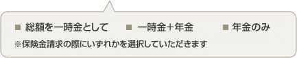 総額を一時金として 一時金＋年金 年金のみ