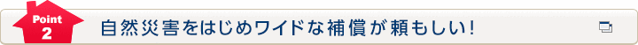 Point2 自然災害をはじめワイドな補償が頼もしい！