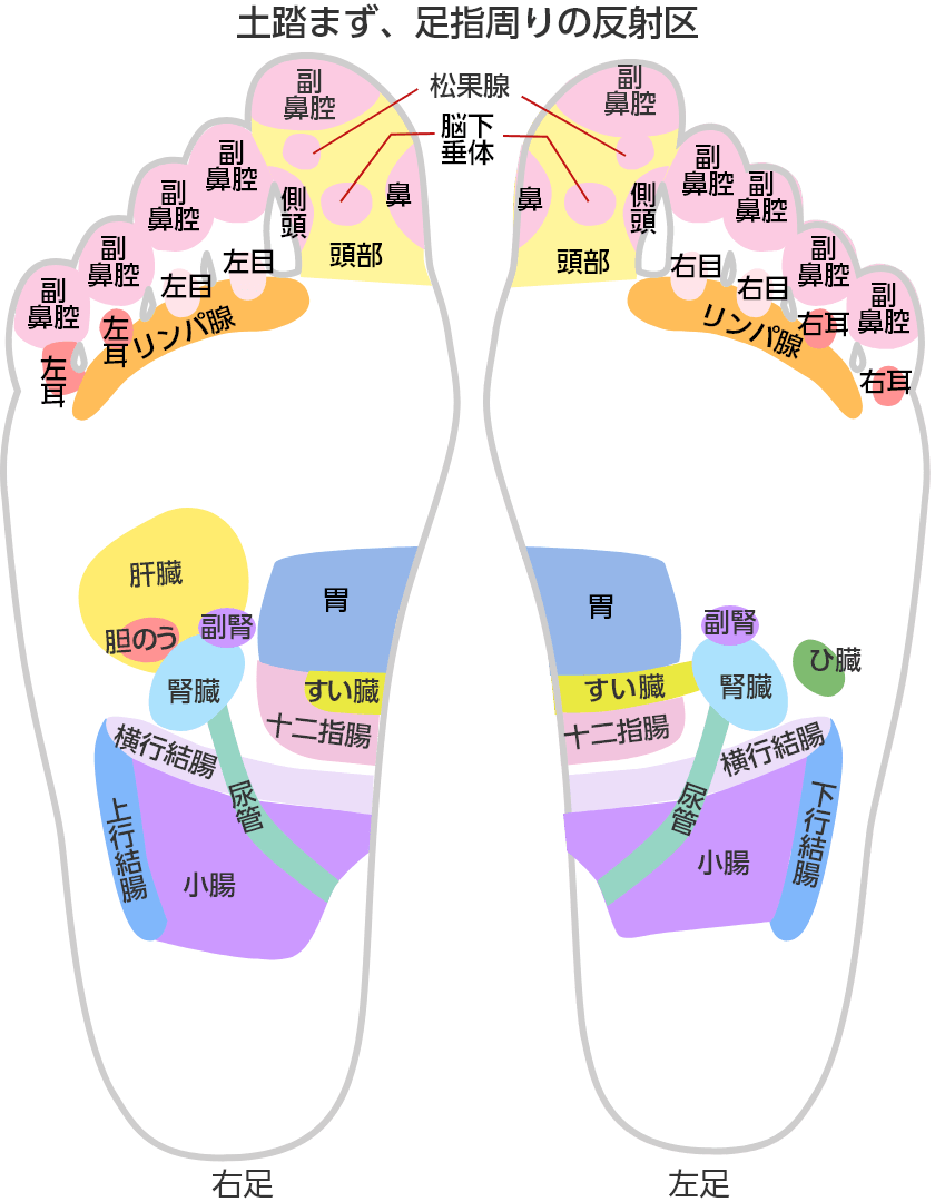 足裏 からだにいいこと