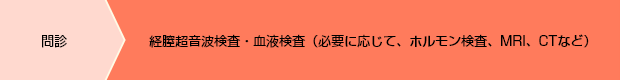 1.問診 2.経腟超音波検査・血液検査