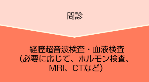 1.問診 2.経腟超音波検査・血液検査