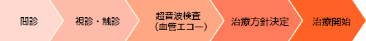 問診＞視診・触診＞超音波検査(血管エコー)＞治療方針決定＞治療開始