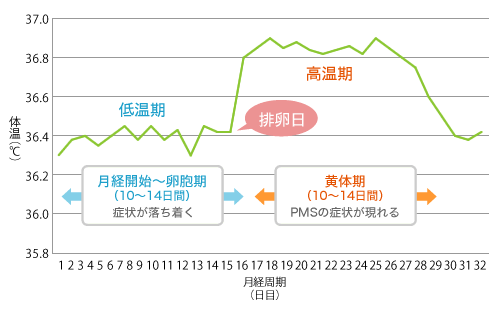 Pms 症状