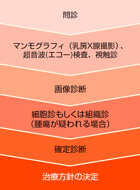 問診→マンモグラフィ（乳房X腺撮影）、超音波（エコー）検査、視触診→画像診断→細胞診もしくは組織診（腫瘍が疑われる場合）→確定診断→治療方針の決定