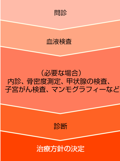 1.問診　2.血液検査　3.（必要な場合）内診、骨密度測定、甲状腺の検査、子宮がん検査、マンモグラフィーなど　4.診断　5.治療方針の決定