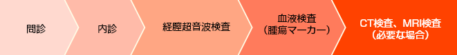 1.問診　2.内診　3.経膣超音波検査　4.血液検査（腫瘍マーカー）　5.CT検査、MRI検査（必要な場合）