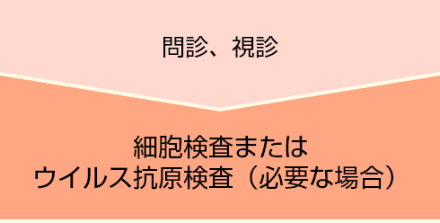 1.問診・視診　2.細胞検査またはウイルス抗原検査（必要な場合）