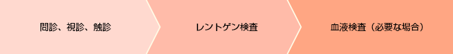 1.問診、視診、触診　2.レントゲン検査　3.血液検査（必要な場合）