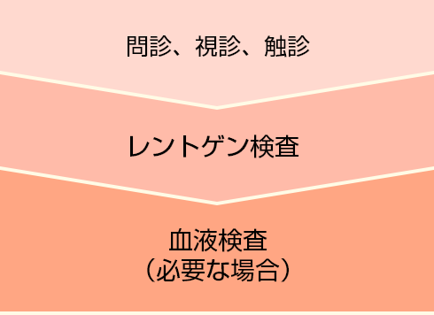 1.問診、視診、触診　2.レントゲン検査　3.血液検査（必要な場合）