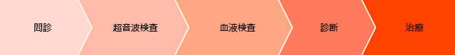 1.問診 2.超音波検査 3.血液検査 4.がん検診 5.診断 6.治療