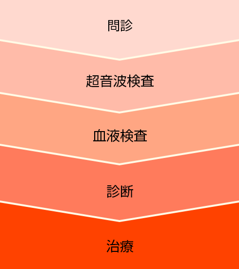 1.問診 2.超音波検査 3.血液検査 4.がん検診 5.診断 6.治療