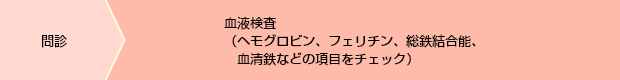 1.問診 2.血液検査（ヘモグロビン、フェリチン、総鉄結合能、血清鉄などの項目をチェック）