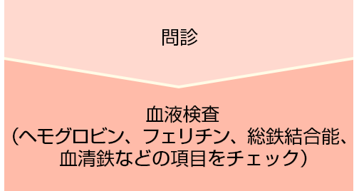 1.問診 2.血液検査（ヘモグロビン、フェリチン、総鉄結合能、血清鉄などの項目をチェック）