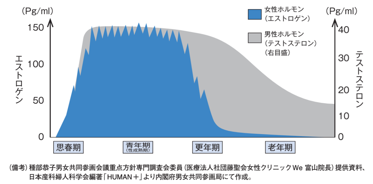 男性・女性ホルモンの推移